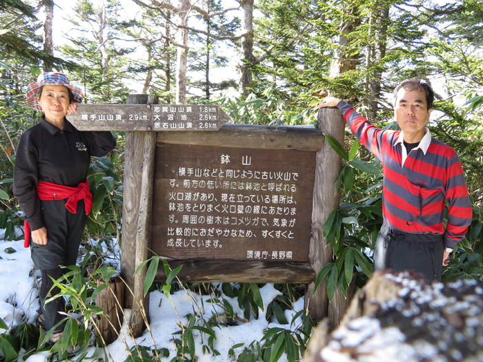 写真13鉢山山頂は森の中