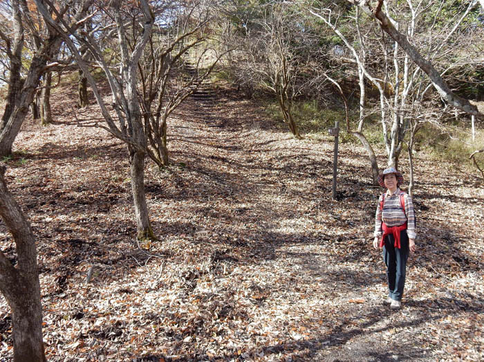 写真10山頂はすぐそこ