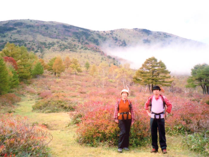 写真5登山道の紅葉
