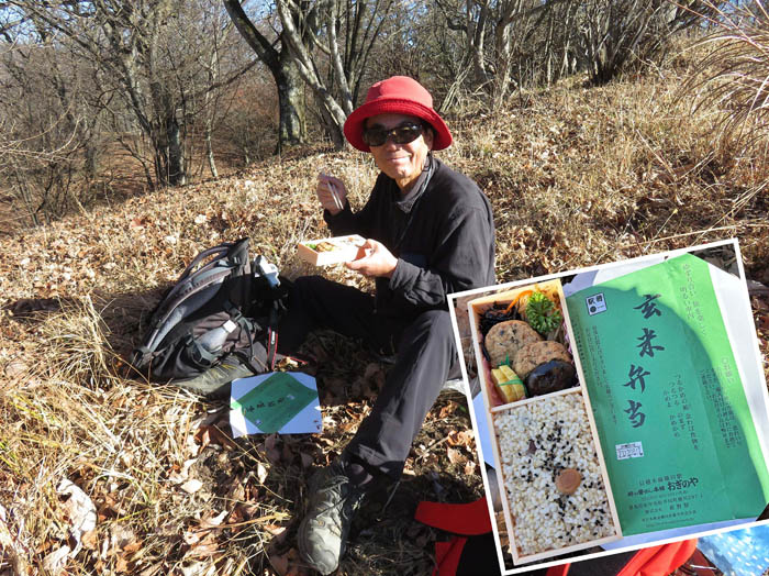 photo：おぎのやの玄米弁当：離山