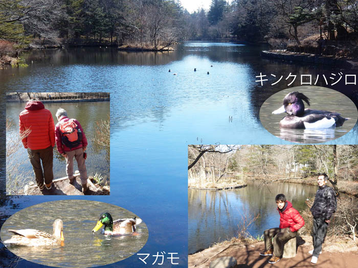 photo：雲場池２月：軽井沢