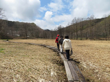 茶色い湿原を行く：沼の原湿原