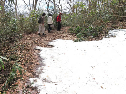 雪が残る山道：沼の原湿原