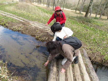 透き通った水、冷たい：沼の原湿原