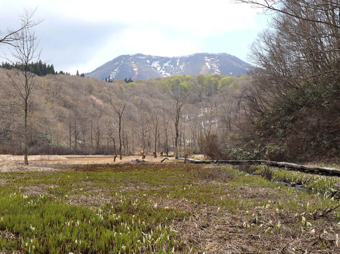 沼の原湿原と斑尾山：沼の原湿原