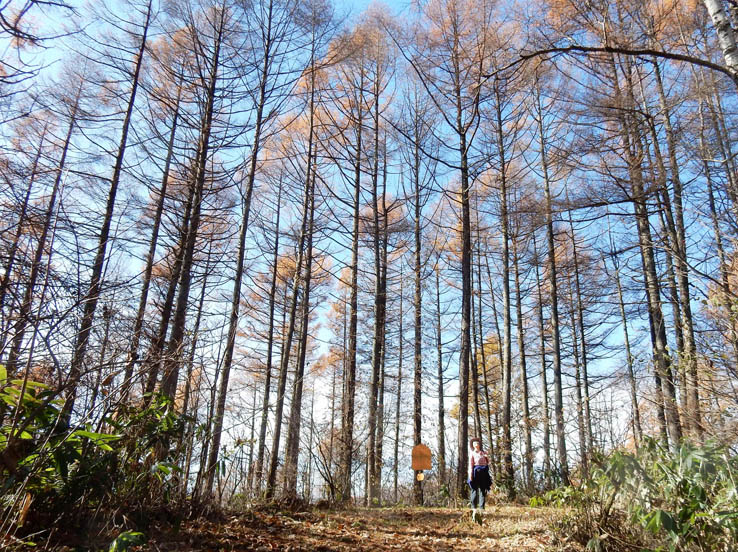 写真14陣場平山山頂、高妻山：陣馬平山