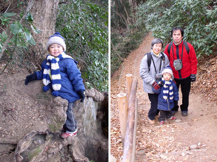 photo：孫と歩く4号路：高尾山