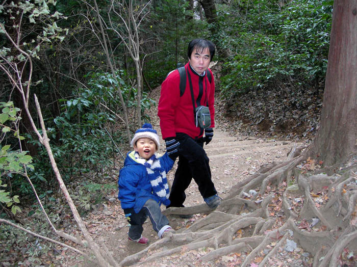 photo：木の根は階段みたい：高尾山