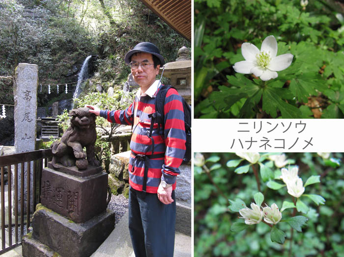photo：琵琶滝：高尾山