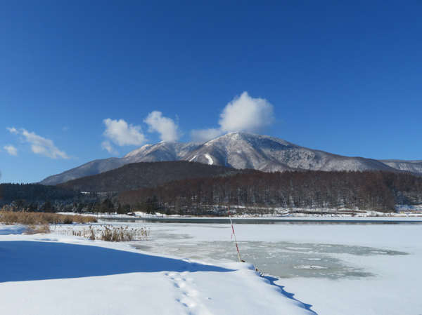 写真・飯縄山と霊仙寺山
