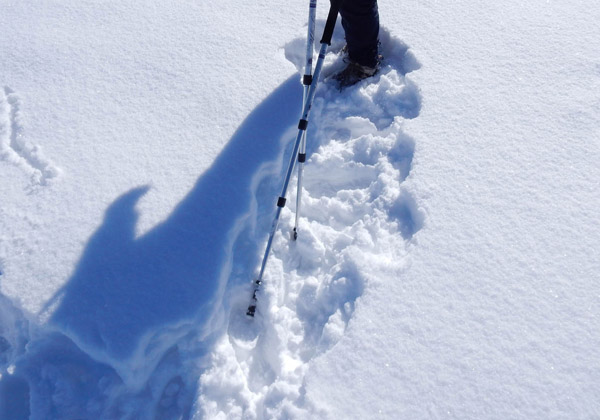写真・雪の中を歩く