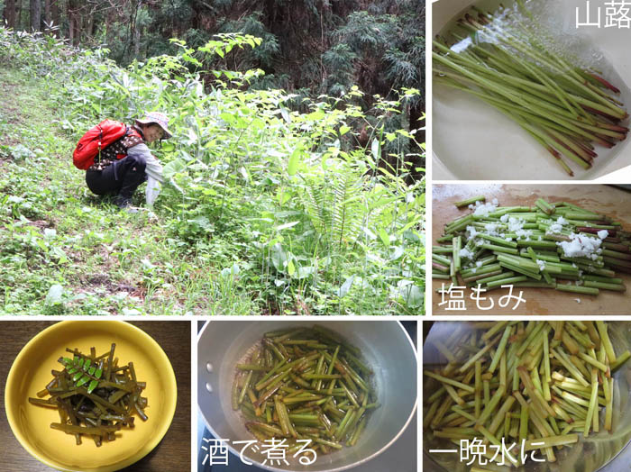 photo：キャラブキを作ろう：葛山