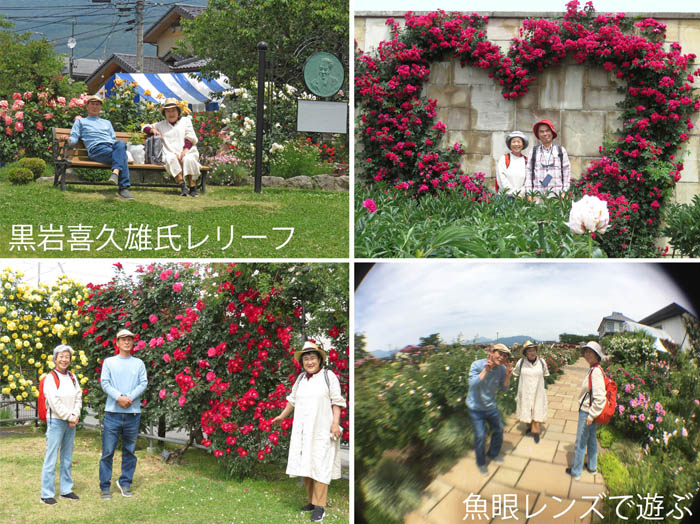 photo：薔薇と遊ぶ：一本木公園