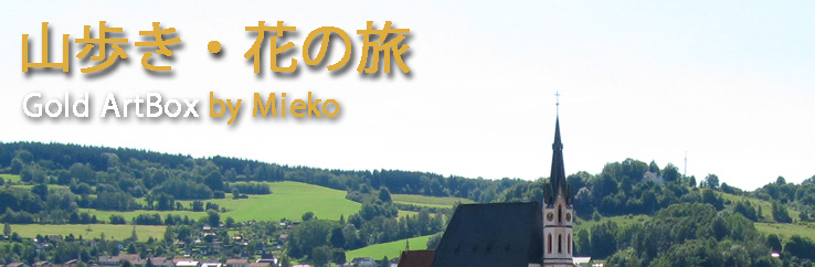 チェスキークロムロフ／Click=「山歩き花の旅」に戻る
