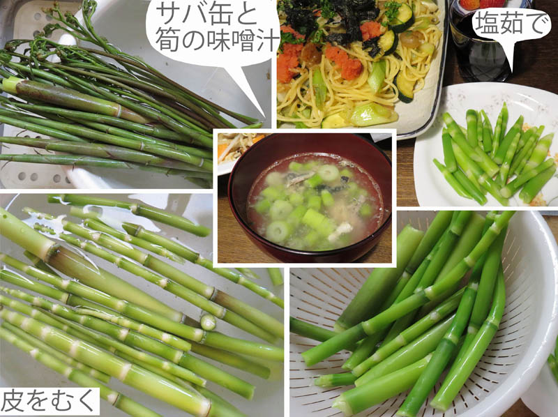 photo：少しでも数日楽しめる筍