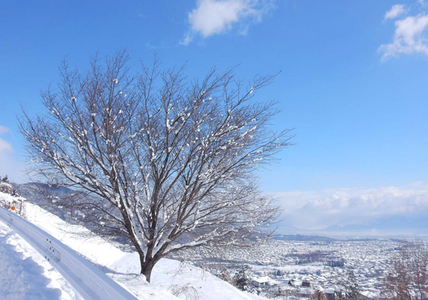 写真・長野市内北方面の空