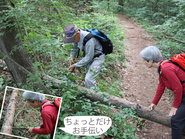 photo：登山道の倒木を片付ける：地附山