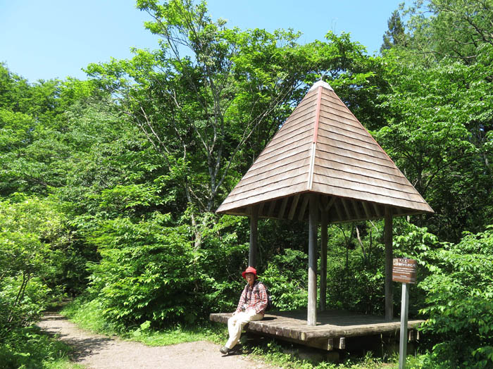 photo：池のほとりの四阿：御鹿池