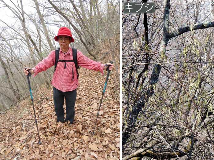 写真10落ち葉に埋もれそうな道：鞍骨山