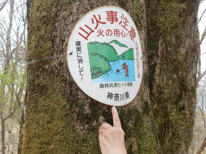 写真16ここはどこ？：陣場（馬）平