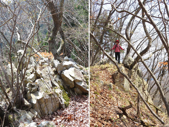 写真6岩がゴツゴツした道：天城山