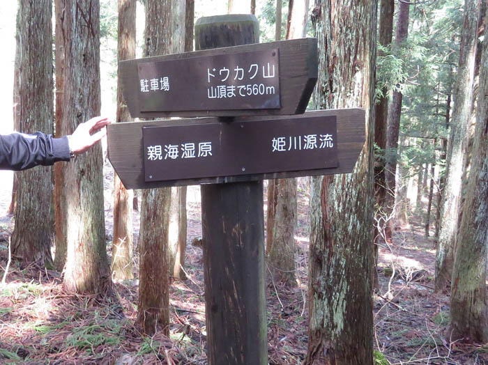 写真2分岐の道標