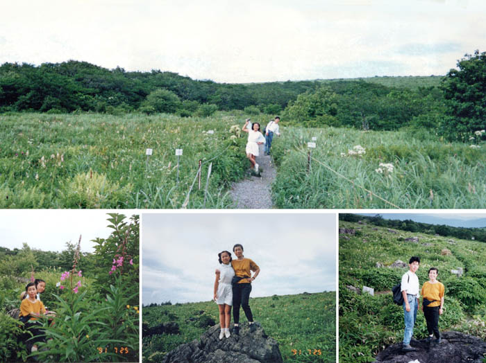 photo：霧ヶ峰のお花畑で