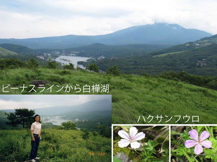 photo：昔も今も景色は同じ