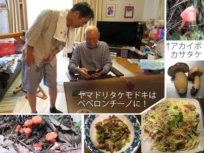 photo：粘菌の写真を見せ合う