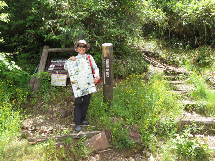 photo：ここから山道（黄色はハナニガナ）：志賀高原