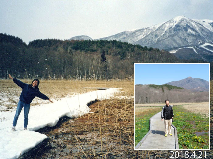 写真11スキー帰り雪の大谷地湿原19980328