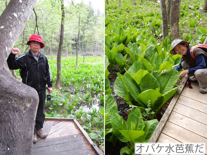 写真5落倉自然園