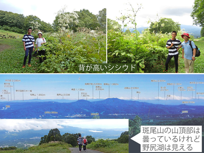 photo：孫と歩いた時：妙高高原