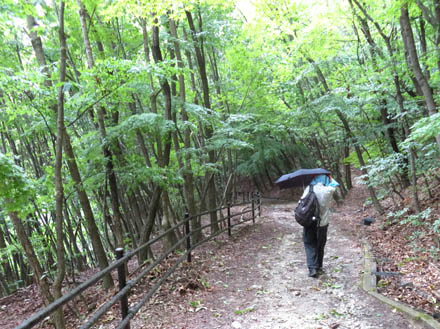 photo：雨が降ってきた：地附山