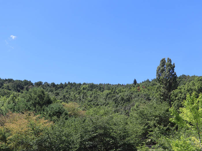 photo：地附山公園から地附山