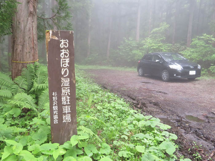 photo1森の中の駐車場