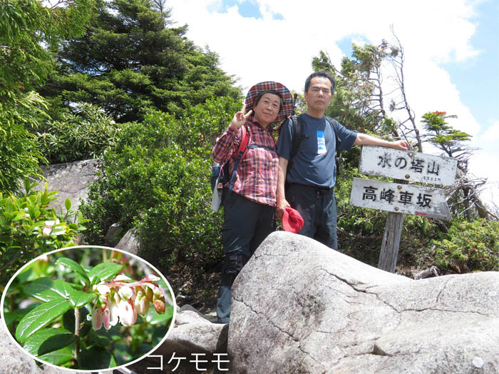 写真14水ノ塔山山頂