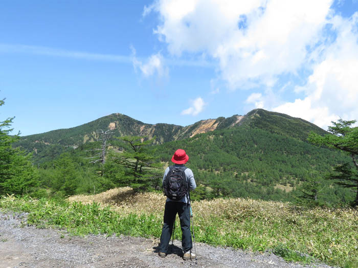 写真2あの稜線を歩くぞ