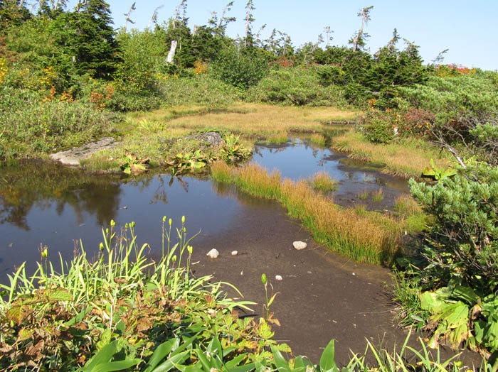 photo：池塘の紅葉：白馬乗鞍岳