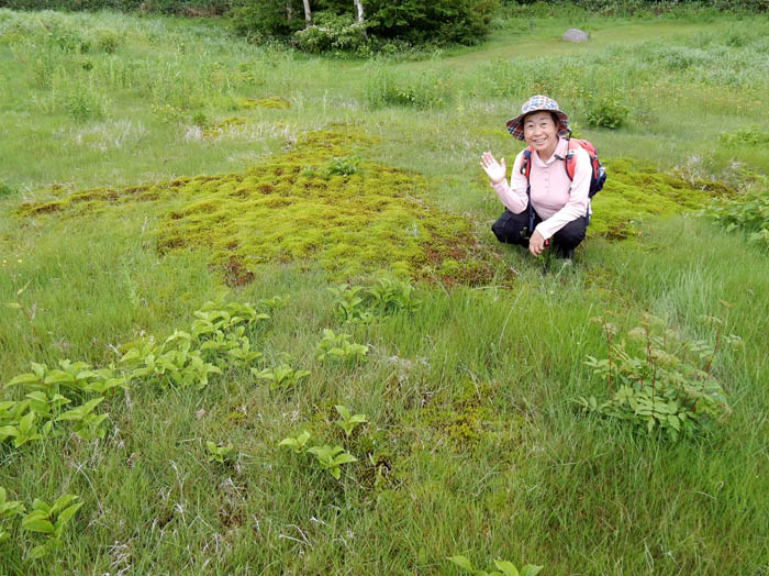 写真18広い湿地に苔がいっぱい