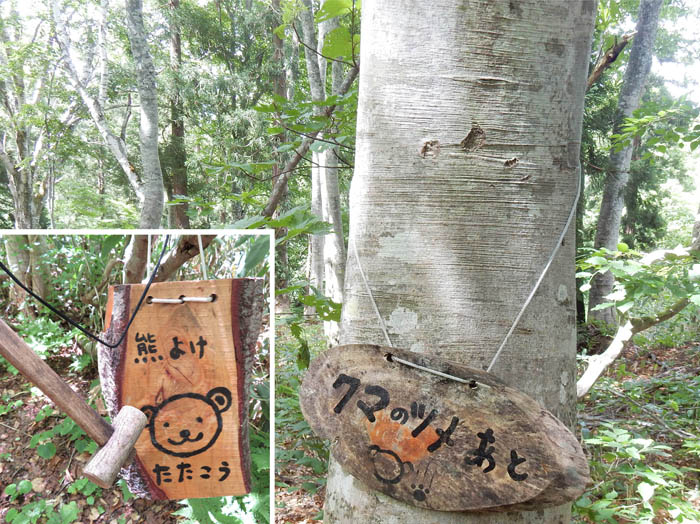 写真20クマもいる森