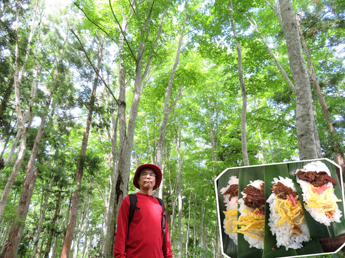 photo24森歩きのお土産は笹寿司
