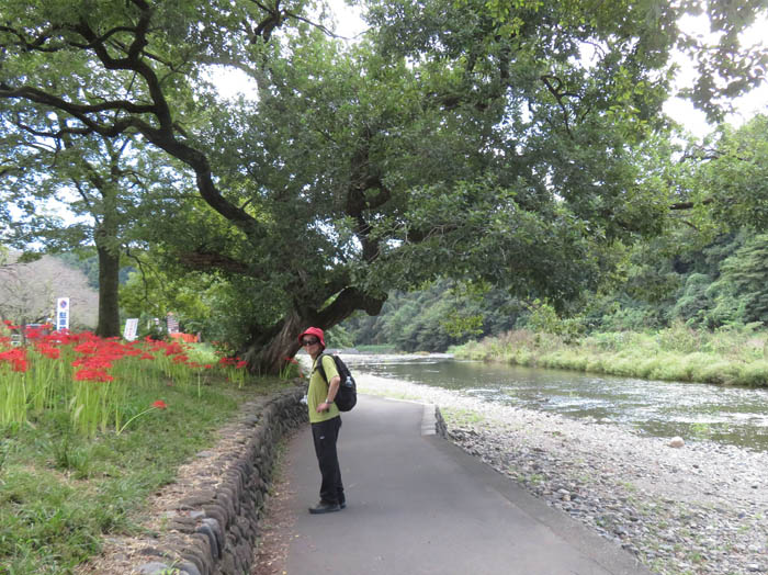 photo：川沿いの道を曼珠沙華公園へ向かう