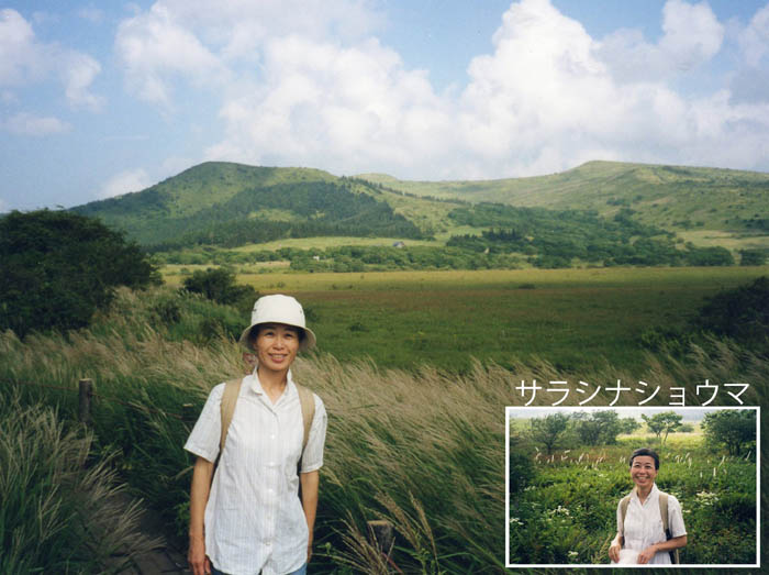 photo1広い八島ヶ原湿原