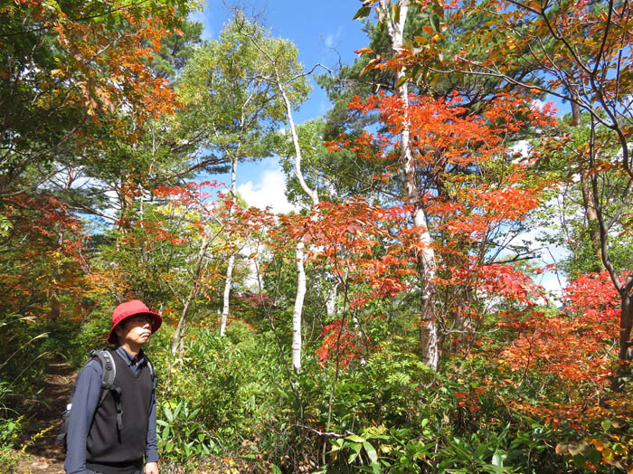 photo14青空に紅葉がきれいだ