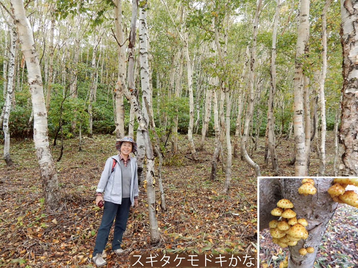 photo5キノコも見つけたけど