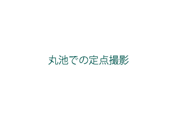 字幕
