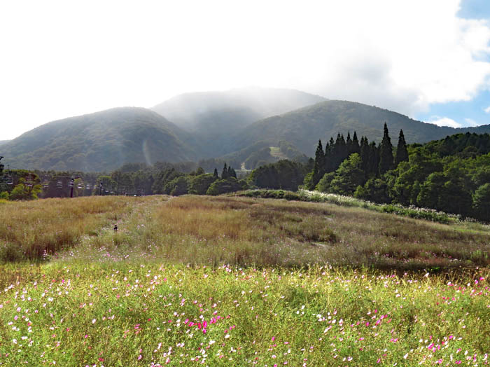 photo 黒姫山と秋桜（山と秋桜を合わせた写真）