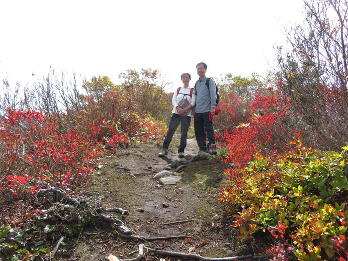 photo10稜線の紅葉