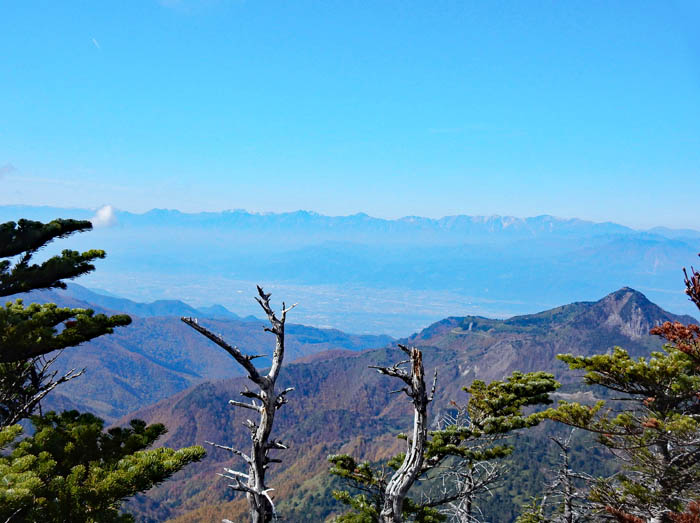 写真14笠岳の向こうに北アルプス
